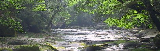 ���C���C���[�W